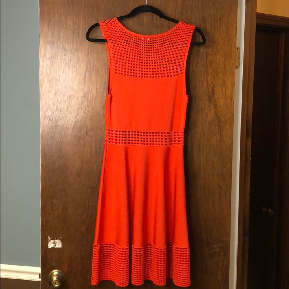 Ronny Kobo Dress!